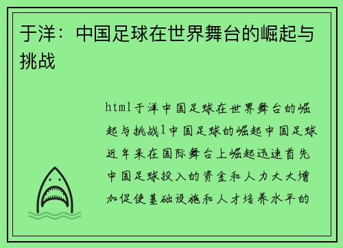 于洋：中国足球在世界舞台的崛起与挑战